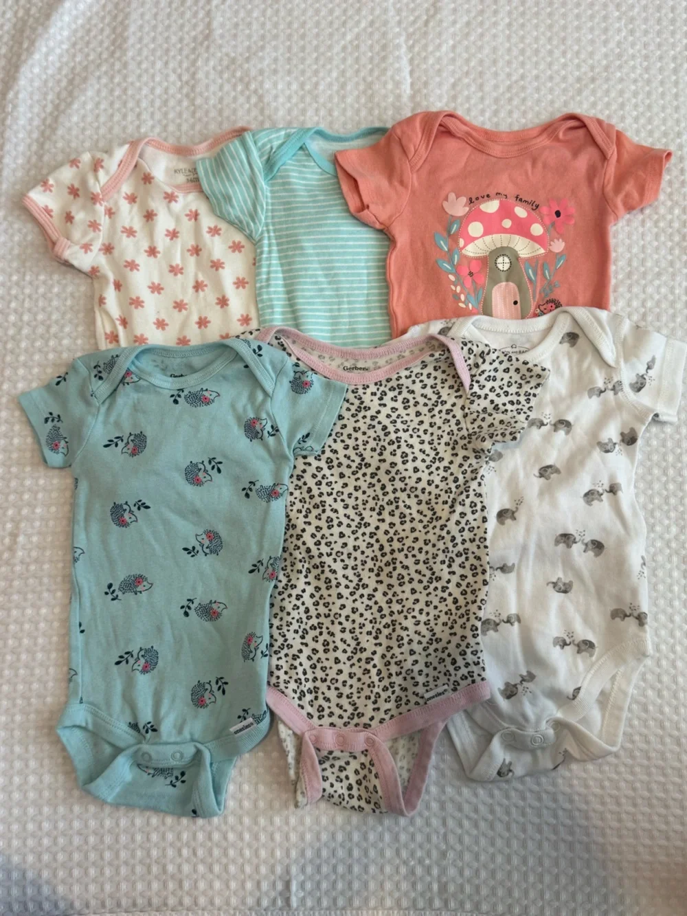 Bundle of 6 3-6m Short Sleeve Bodysuits